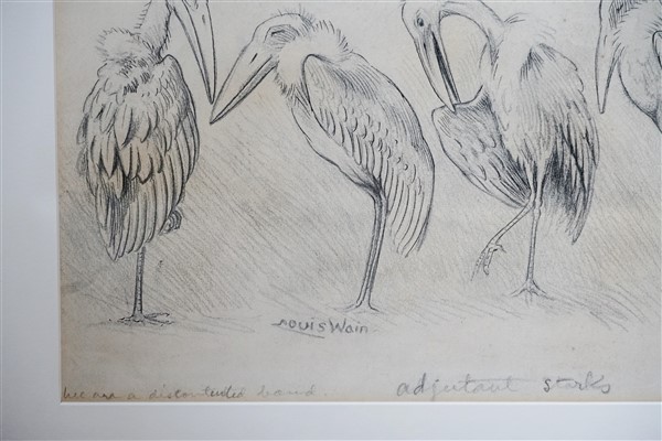 storks.5 (600 x 400)