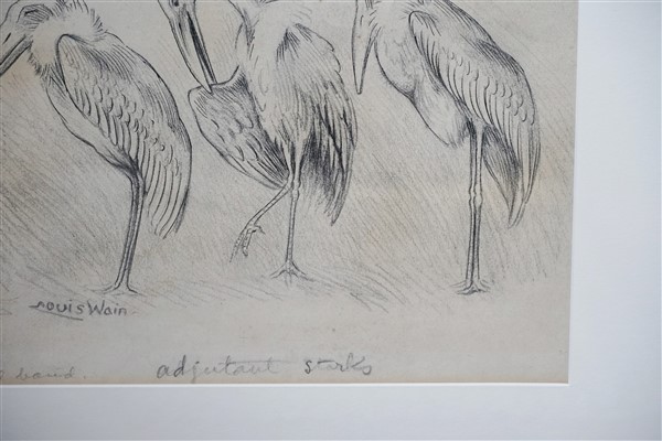 storks.6 (600 x 400)